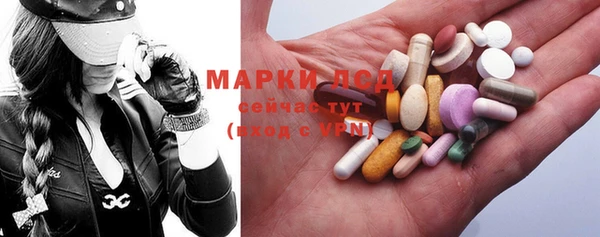 сатива Аркадак