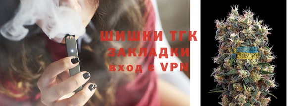 сатива Аркадак