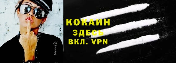 сатива Аркадак