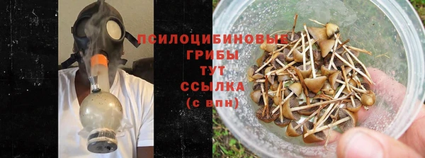 сатива Аркадак